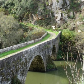 Percurso Botânico por Pedrogão Pequeno