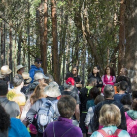 Walking Weekend: Casa do Centro - 4 pessoas