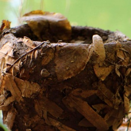 Curso de Cerâmica e Natureza