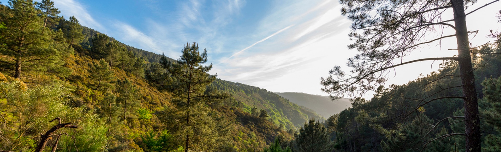 Casa da Escada - Cerdeira - Home for Creativity