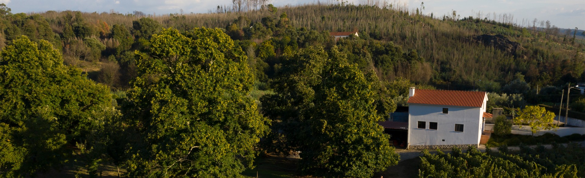 Quinta do Sobral - Casa Brigitte