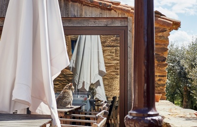 Casa Rosmaninho - Xisto Sentido