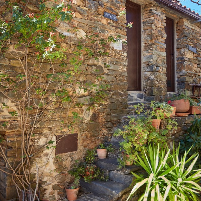 Casa da Pífara - Aldeia Oliveiras