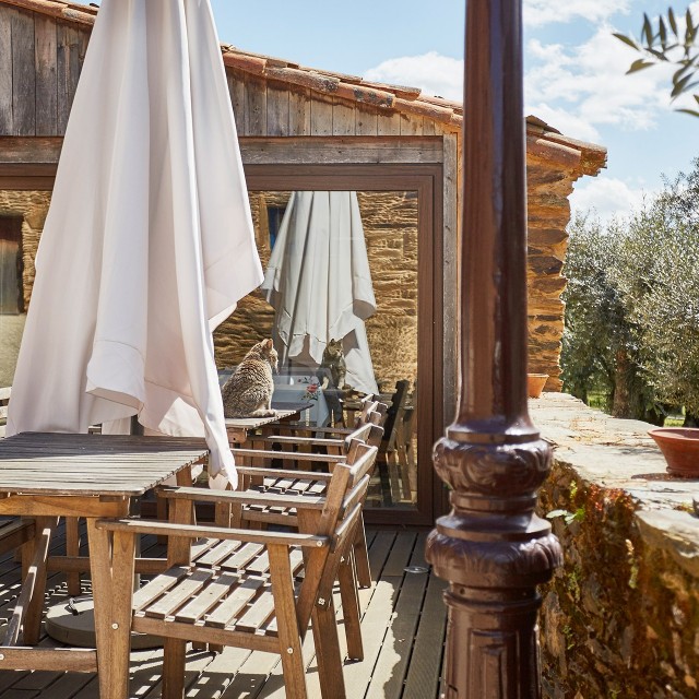 Casa Alecrim - Xisto Sentido