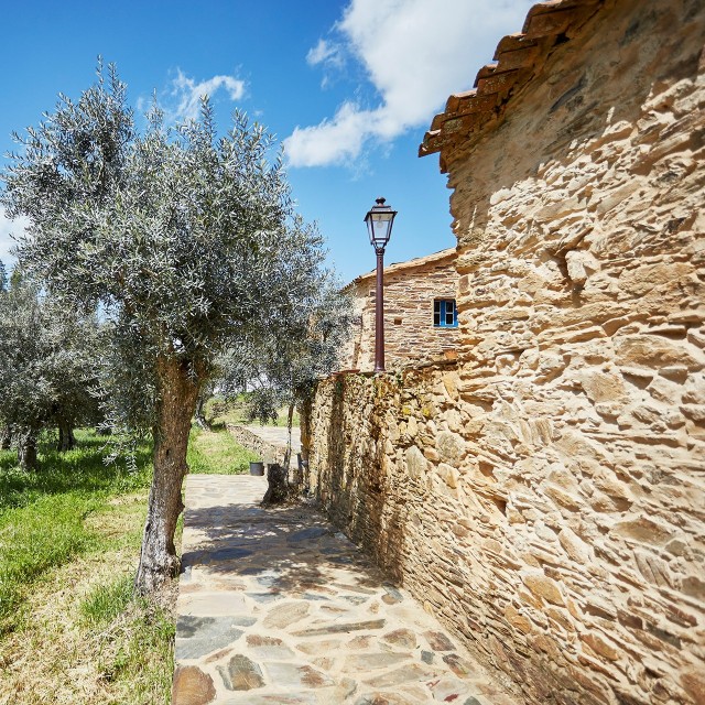 Casa Alecrim - Xisto Sentido