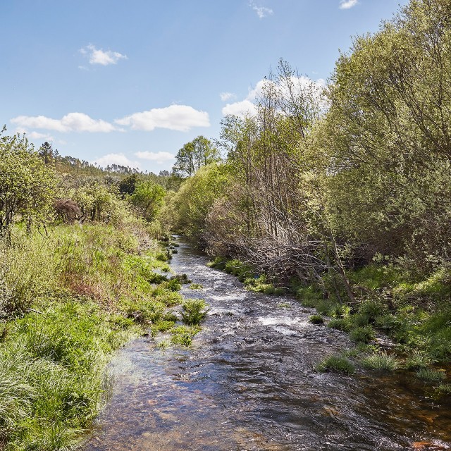 Casa Alecrim - Xisto Sentido