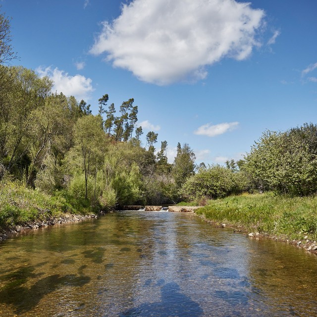 Casa Rosmaninho - Xisto Sentido