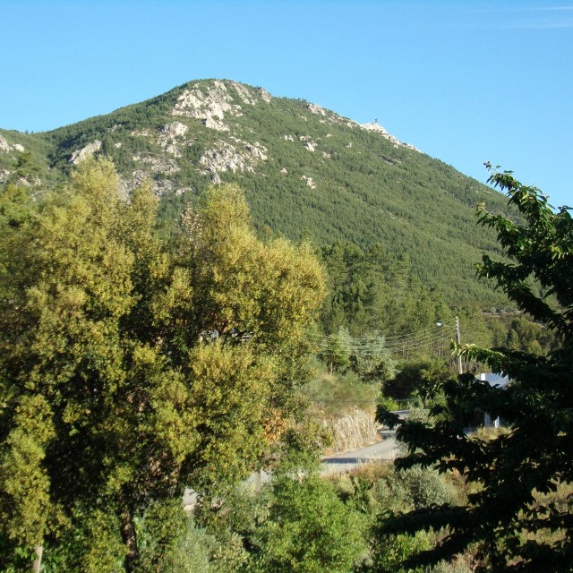 Casa da Ameixeira - Casas dos Carregais