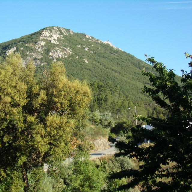 Casa da Cerejeira - Casas dos Carregais