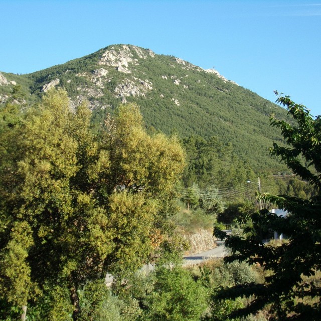 Casa da Laranjeira - Casas dos Carregais