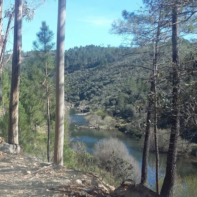 Casa da Oliveira - Casas dos Carregais