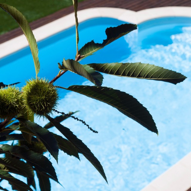 Casa da Paisagem - Mountain Whisper