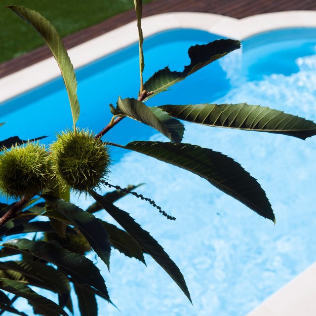 Casa da Madeira - Mountain Whisper