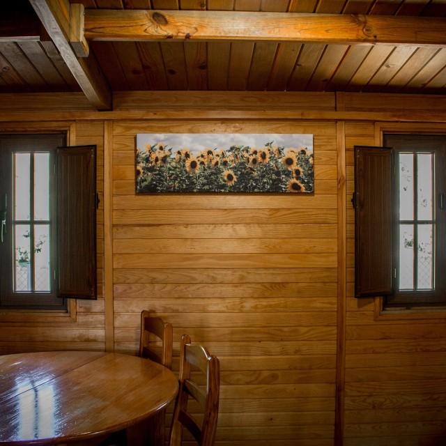 Casa dos Girassóis - Xisto Camping