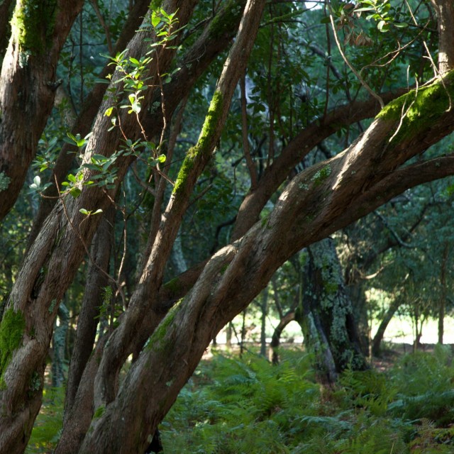 Quinta do Sobral - Casa Brigitte