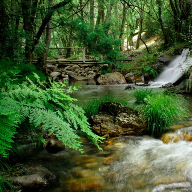 Convento da Sertã Hotel - Pack Romântico