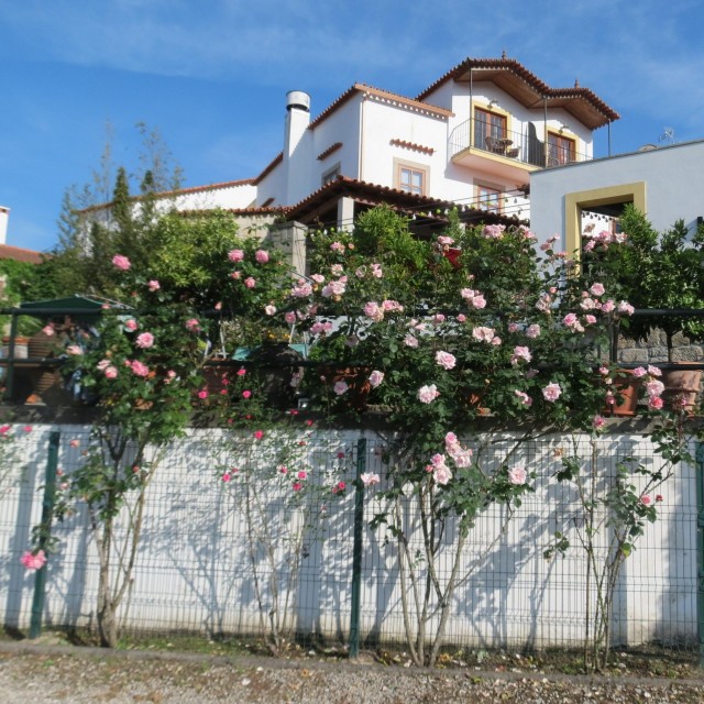 Hotel Rural Quinta da Geia