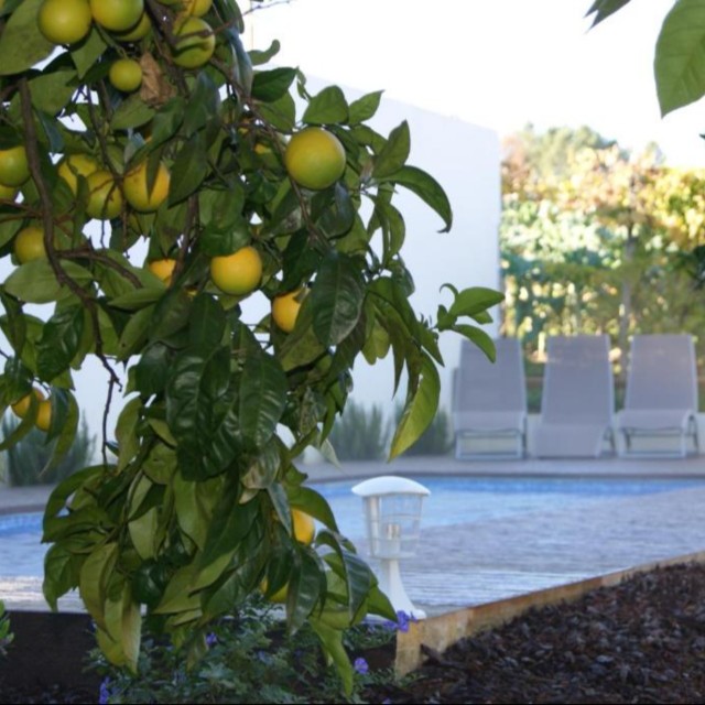 Casa de Santo Antão