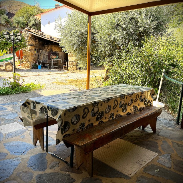 Casa do Castanheiro - Casas dos Carregais