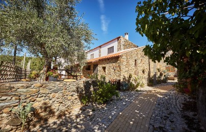 Casa da Pífara - Aldeia Oliveiras